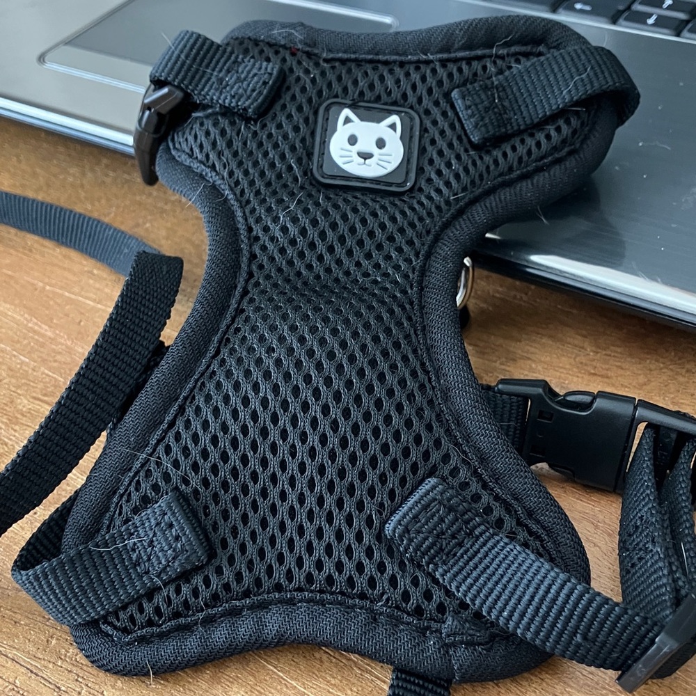 NWT. Black Cat Harness